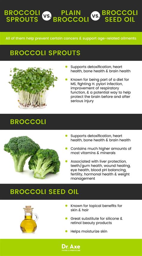 broccoli vs broccoli sprouts nutrition
